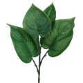 Floristik24 Philodendron kunstig tre venn kunstige planter grønn 39cm