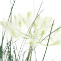 Floristik24 Bulrush Grass Kunstig Blomst Kunstige blomster i potte 56cm