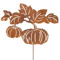 Floristik24 Hagepike med gresskarmotiv, metalldekorasjon, rustfinish, 100 cm