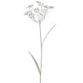 Floristik24 Hagepluggblomst, hagedekorasjon, planteplugg laget av metall shabby chic hvit, sølv L52cm Ø10cm 2stk