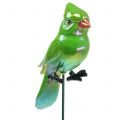 Floristik24 Hageplugg papegøye grønn 16cm