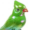 Floristik24 Hageplugg papegøye grønn 16cm