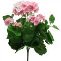 Floristik24 Geranium kunstig blomst Rosa geranium busk kunstig 7 blomster H38cm