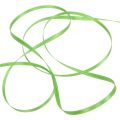 Floristik24 Gavebånd lysegrønn 3mm 50m