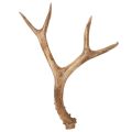 Floristik24 Kunstige gevir, naturtro, rustikke, 32 cm