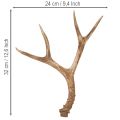 Kunstige gevir, naturtro, rustikke, 32 cm | Floristik24.no
