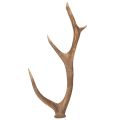 Floristik24 Dekorative kunstige gevir, rustikk hyttedekorasjon, 50 cm