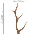 Dekorative kunstige gevir, rustikk hyttedekorasjon, 50 cm | Floristik24.no