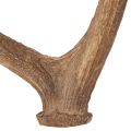 Dekorative kunstige gevir,