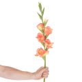 Kunstig gladiolus med mange blomster til en bukett, 88 cm | Floristik24.no