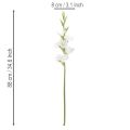 Kunstig gladiolus, lang stilk, til vaser, 88 cm | Floristik24.no