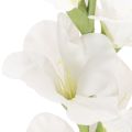 Kunstig gladiolus, lang stilk, til vaser, 88 cm | Floristik24.no