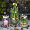 Glass blomstervase bred klar Ø12cm H20cm | Floristik24.no