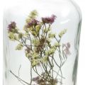 Floristik24 Glass med lysestake, glassdekor med tørkede blomster H16cm Ø8,5cm