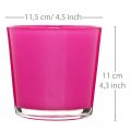 Floristik24 Glassbalje, plantekasse rosa Ø11,5cm H11cm