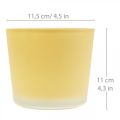 Floristik24 Glass blomsterpotte gul dekorativ glassbalje Ø11,5cm H11cm