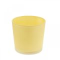 Floristik24 Glass blomsterpotte gul dekorativ glassbalje Ø11,5cm H11cm