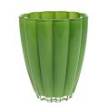 Floristik24 Glassvase &quot;Bloom&quot; grønn Ø14cm H17cm