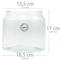 Floristik24 Glasslykt, dekorativ vase, lysdekor Ø18,5cm H21cm