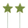 Floristik24 Glimmer stjerner grønn 4cm på tråd 60stk