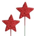 Floristik24 Glitterstjerne på ledning 5cm rød L23cm 48stk