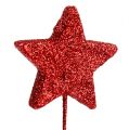 Floristik24 Glitterstjerne på ledning 5cm rød L23cm 48stk