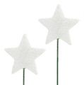 Floristik24 Glitterstjerne på wire 5cm hvit L23cm 48stk
