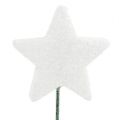 Floristik24 Glitterstjerne på wire 5cm hvit L23cm 48stk