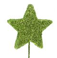 Floristik24 Glitterstjerner på trådgrønn 5cm 48stk