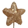Floristik24 Glitterstjerne på trådgull 3,5 cm 12stk