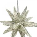 Floristik24 Glitterstjerner til å henge champagne juletrepynt 7,5 cm 8 stk