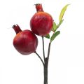 Floristik24 Dekorativ gren granateple dekorasjon, dekorativ frukt, dekorativ granateple 39cm