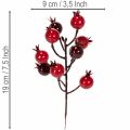 Kunstig granateplegren med forgrenende stilker som vasedekorasjon, 19 cm, 4 stk. | Floristik24.no