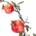 Kunstig granateplegren som fruktgren til borddekorasjon, 68 cm | Floristik24.no