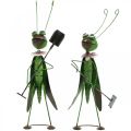 Floristik24 Grasshopper hage figur metall dekorasjon cricket med rake og spade H33 cm sett med 2