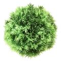 Floristik24 Gresskule dekorativ kule kunstplanter grønn Ø15cm 1stk