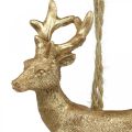 Floristik24 Juleanheng reinsdyr deco hjort gull 9,5cm 4stk