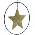 Floristik24 Julepynt stjerneheng gull sort 12,5cm 3stk