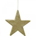 Floristik24 Julepynt stjerneheng gylden glitter 30cm 2stk