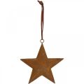 Floristik24 Juleanheng stjerne metall stjerne rust look H13,5cm