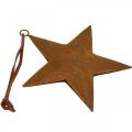 Floristik24 Juleanheng stjerne metall stjerne rust look H13,5cm
