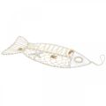 Floristik24 Dekorativ fisk med skalldekorasjon, maritim dekorasjon, fisk å henge hvit 38cm