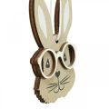 Floristik24 Treanheng kanin med briller gulrot brun beige 4×7,5cm 9stk