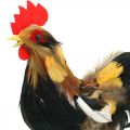 Floristik24 Deco hane med fjær gul vårpynt figur påske 24cm