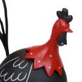 Floristik24 Hane påskedekor metalldekor kylling sort rød H13,5cm
