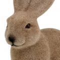 Floristik24 Bunny strømmet brun 15,5cm 4stk