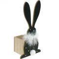 Floristik24 Bunny Planter Feather Boa Black, White Dotted Wooden Easter Bunny
