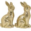 Floristik24 Dekorativ kanin i gull, kanin til å pynte, et par påskeharer, H16,5 cm 2 stk.