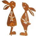 Floristik24 Hagedekor rust kanin dekorativ plugg påske 8×16cm 2stk (1par)