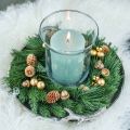 Gyldne høstfrukter, festlige høstdekorasjoner, naturlige dekorative eikenøtter, adventsdekorasjon Ø1,5 – 2,5 cm L1,5 – 3 cm 300 g | Floristik24.no